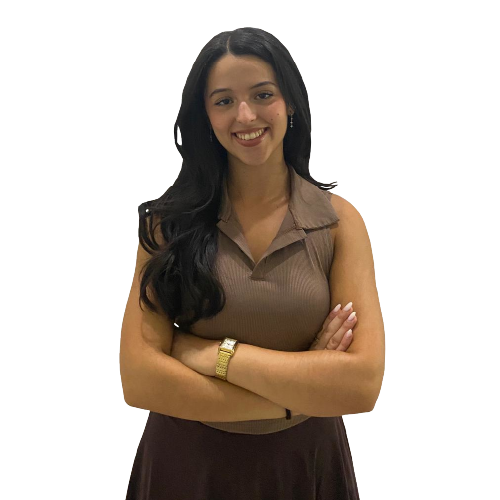 Vice-Presidente Interno
